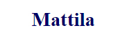 Mattila Fritid logotype