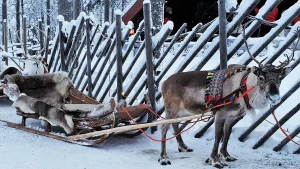 Lappland