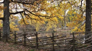 Småland