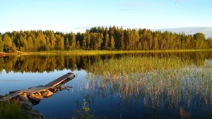 Västerbotten